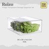 ORGANICE Reizo Premium Transparent Fridge Organizer Satuan Kotak Penyimpanan Kulkas Transparan