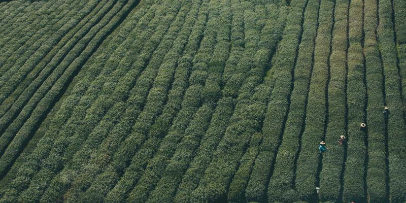 Panduan merawat produk